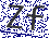 Code verification